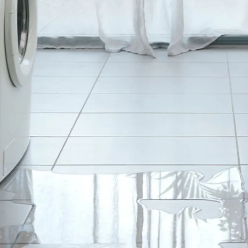Appliance Leak Cleanup in Walton County, GA